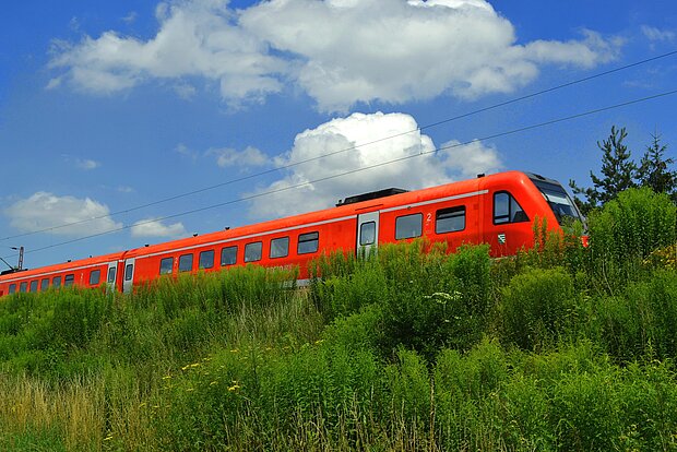Zug im Grünen