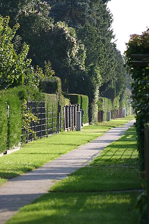 ein Weg im Grünen