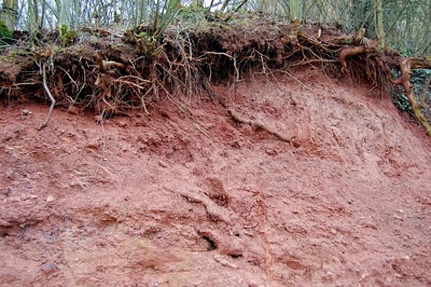 Foto: Erosion © Thomas Max Müller, pixelio.de