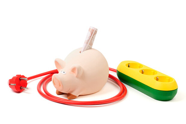 Sparschwein mit Verteilerdose