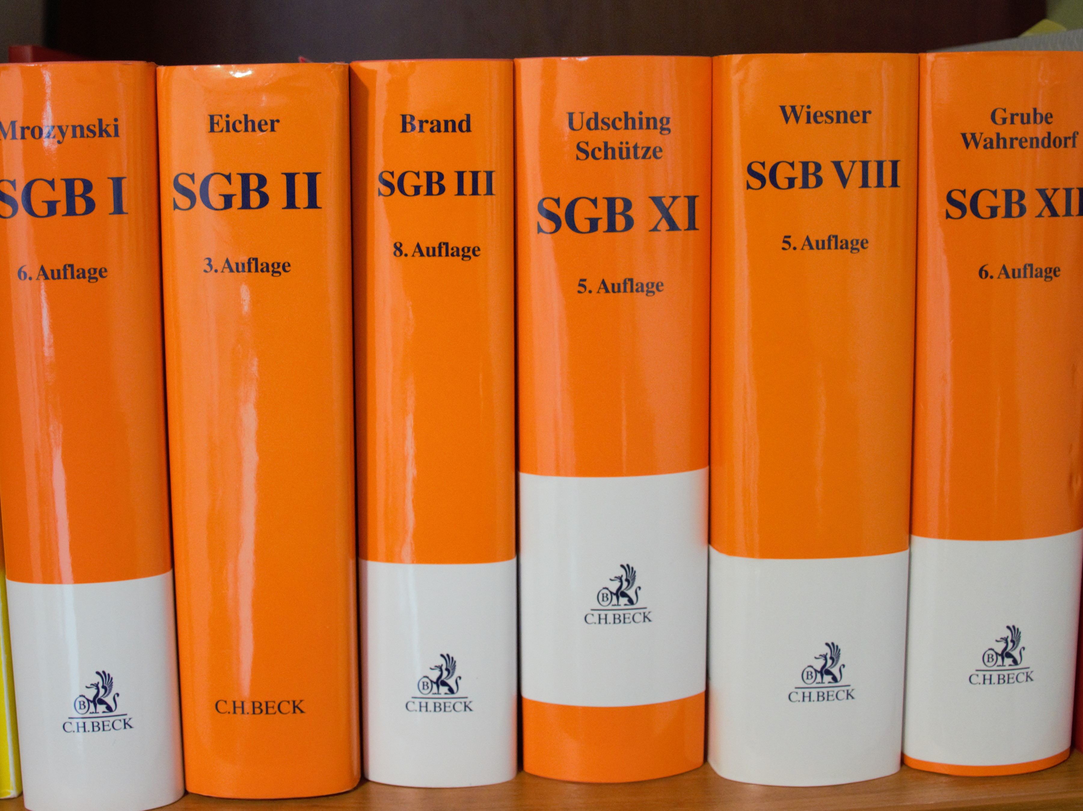 Bücherrücken von mehreren Sozialgesetzbüchern